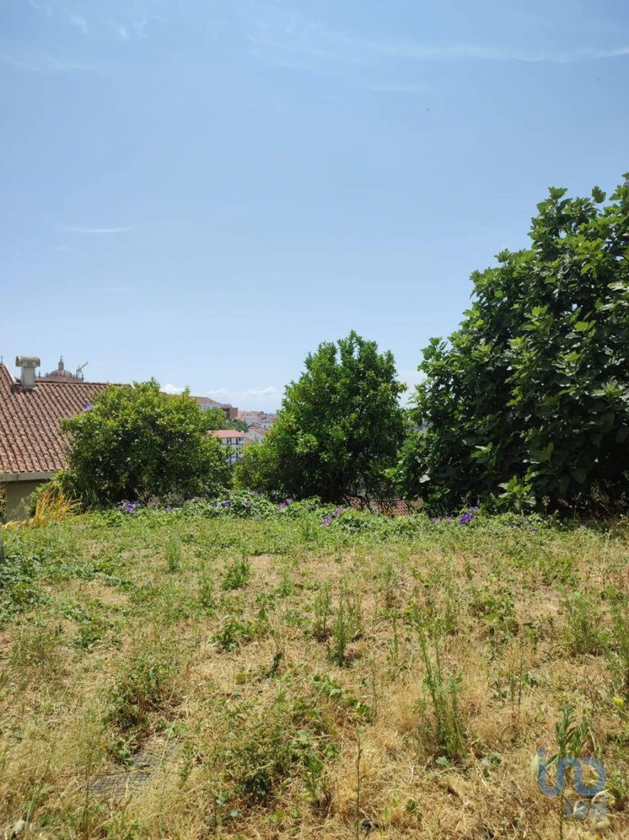 Moradia T9 para Venda em São Martinho do Bispo e Ribeira de Frades Foto 3