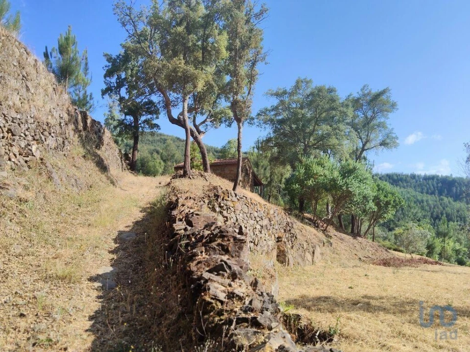 Terreno para Venda em Pedrogão Pequeno Foto 10