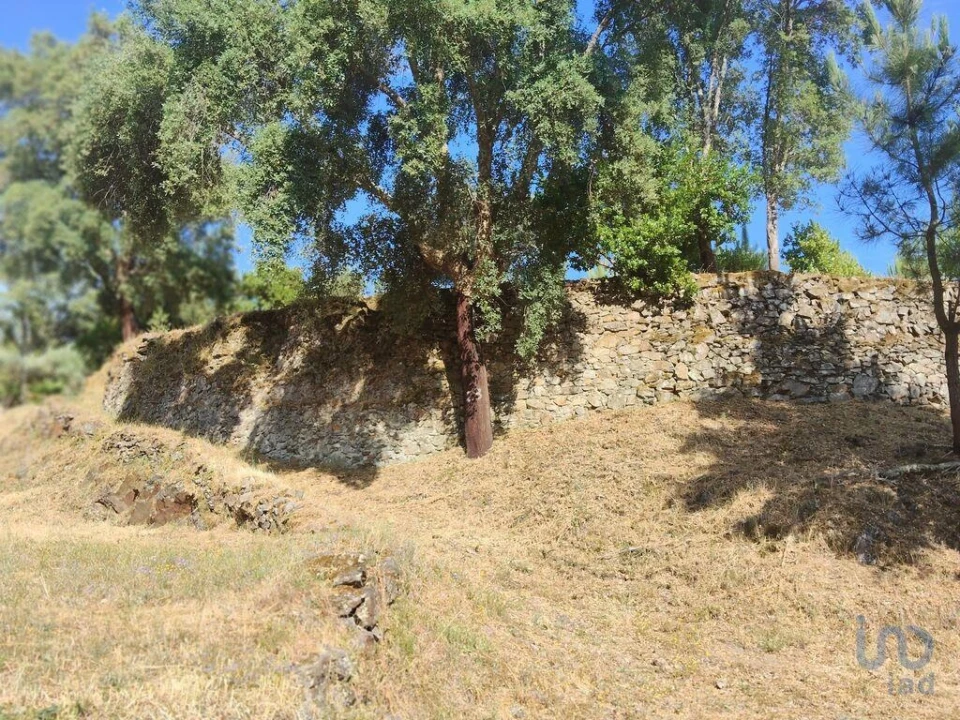 Terreno para Venda em Pedrogão Pequeno Foto 8