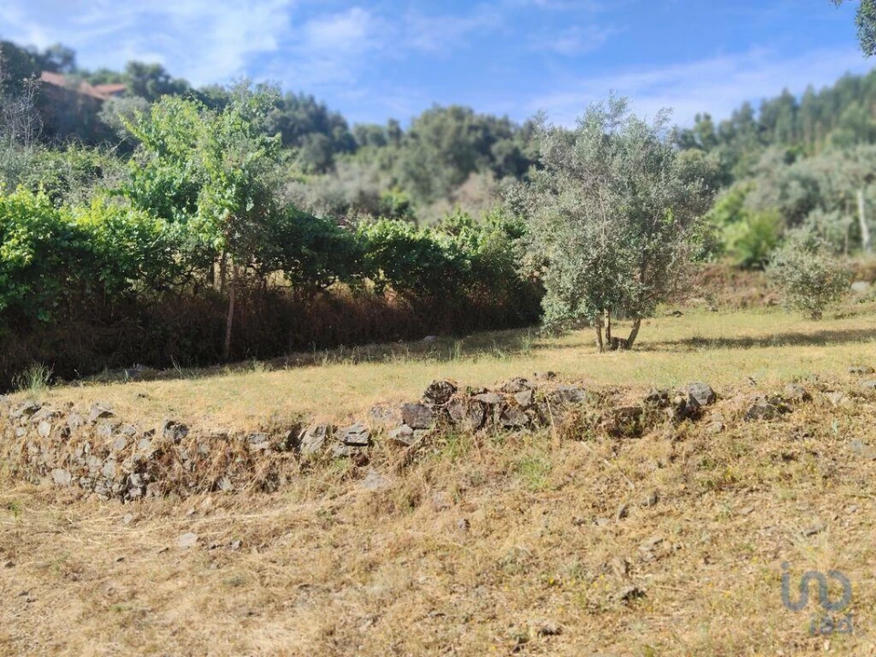 Terreno para Venda em Pedrogão Pequeno Foto 9