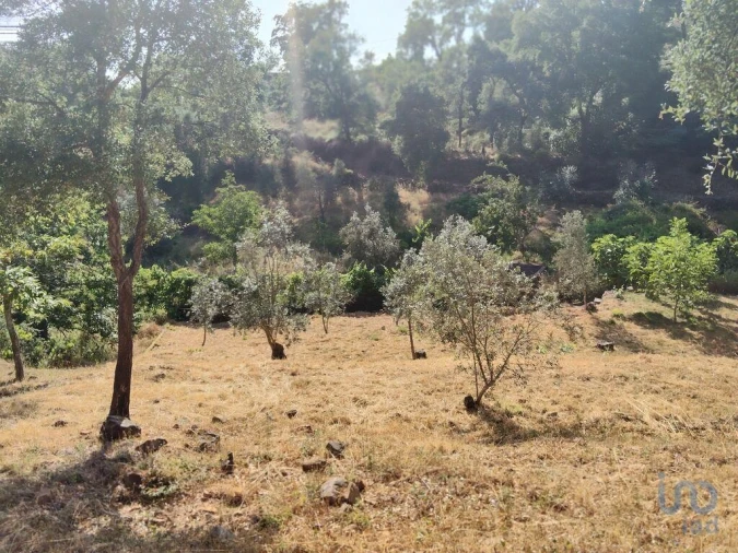 Terreno para Venda em Pedrogão Pequeno Foto 13