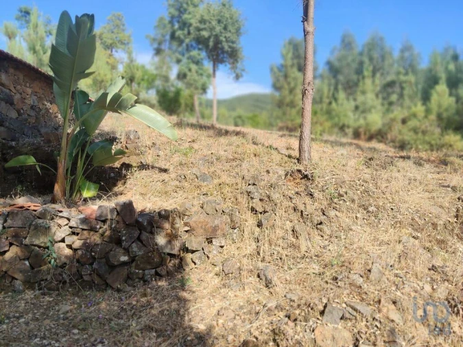 Terreno para Venda em Pedrogão Pequeno Foto 12