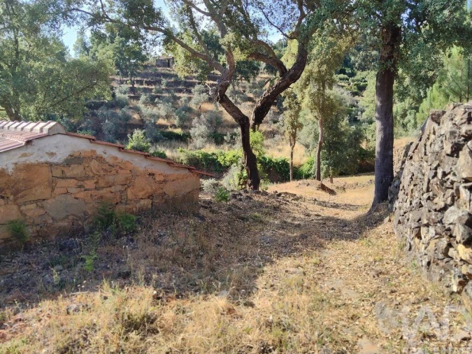 Terreno para Venda em Pedrogão Pequeno Foto 22