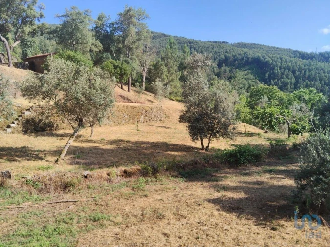 Terreno para Venda em Pedrogão Pequeno Foto 5