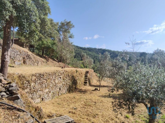 Terreno para Venda em Pedrogão Pequeno Foto 2