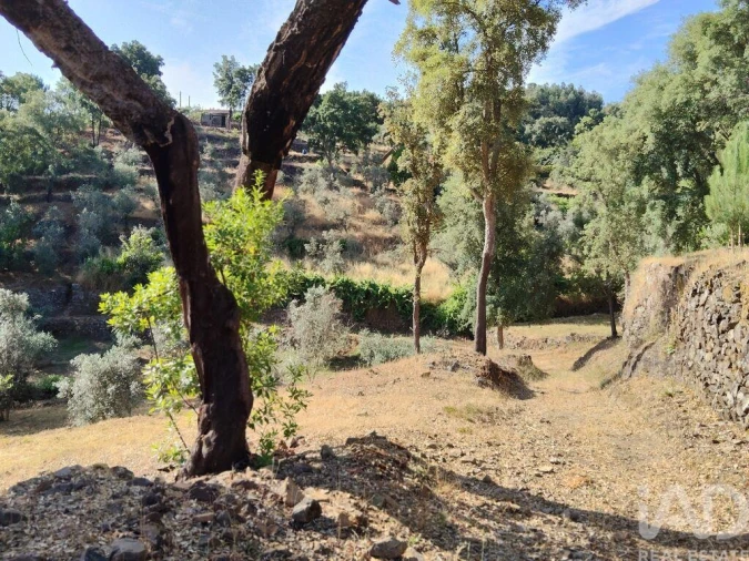 Terreno para Venda em Pedrogão Pequeno Foto 23