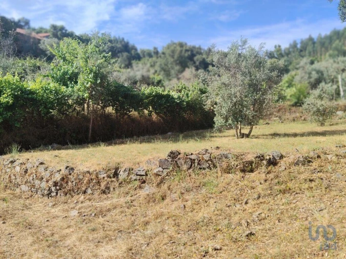Terreno para Venda em Pedrogão Pequeno Foto 9