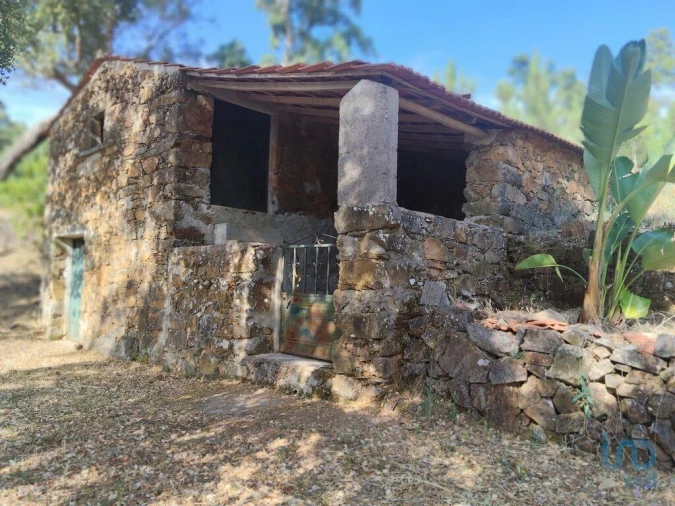 Terreno para Venda em Pedrogão Pequeno