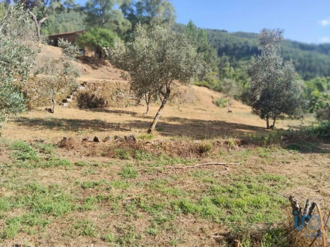 Terreno para Venda em Pedrogão Pequeno Foto 6