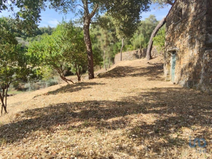 Terreno para Venda em Pedrogão Pequeno Foto 14