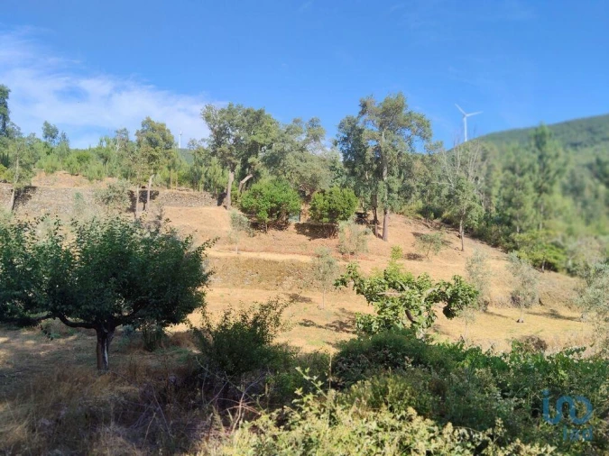 Terreno para Venda em Pedrogão Pequeno Foto 4