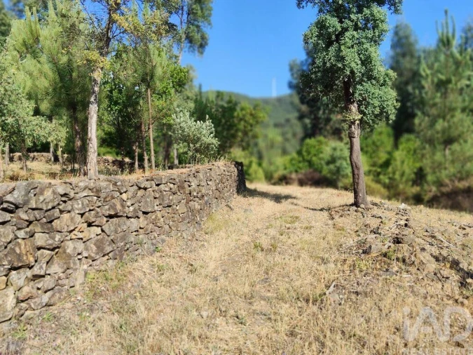 Terreno para Venda em Pedrogão Pequeno Foto 21
