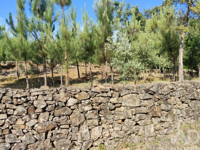 Terreno para Venda em Pedrogão Pequeno Foto 20