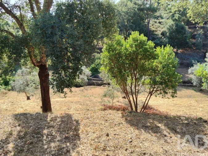 Terreno para Venda em Pedrogão Pequeno Foto 19