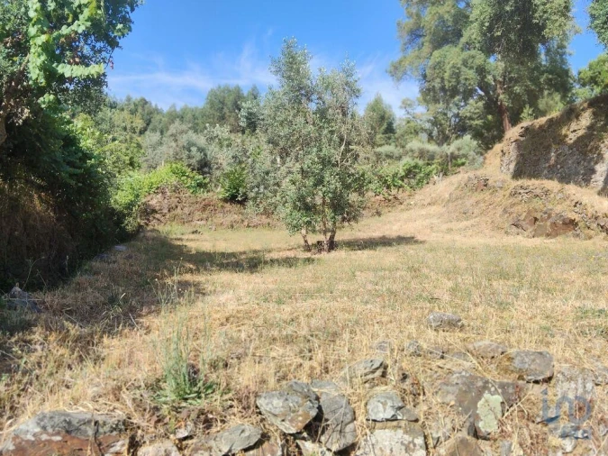 Terreno para Venda em Pedrogão Pequeno Foto 7