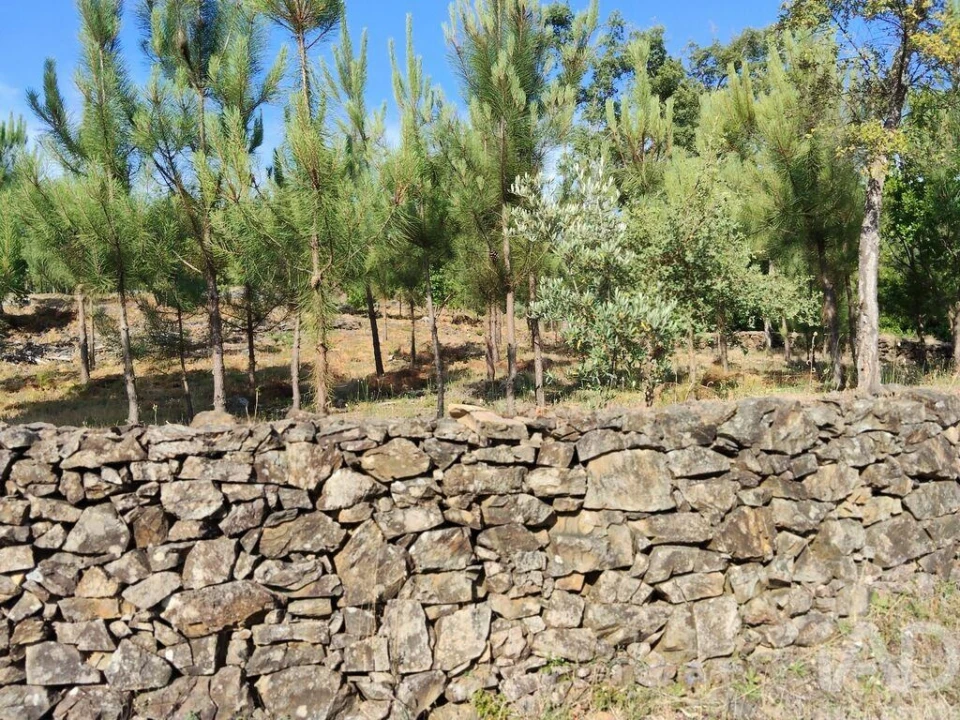 Terreno para Venda em Pedrogão Pequeno Foto 20