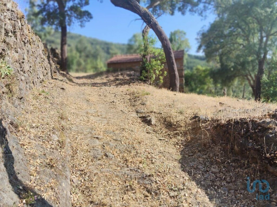 Terreno para Venda em Pedrogão Pequeno Foto 11