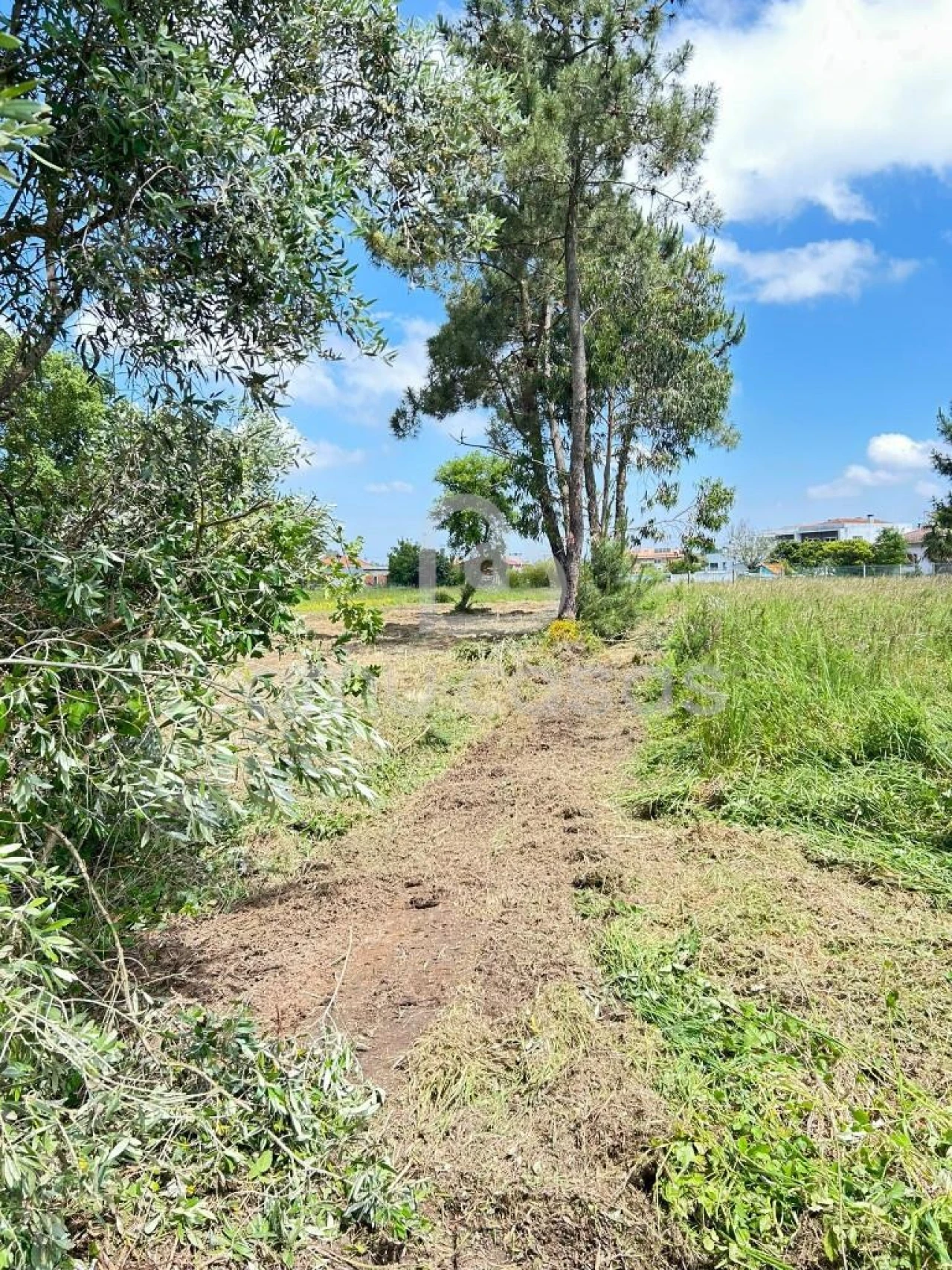 Terreno para Venda em Ouca Foto 3