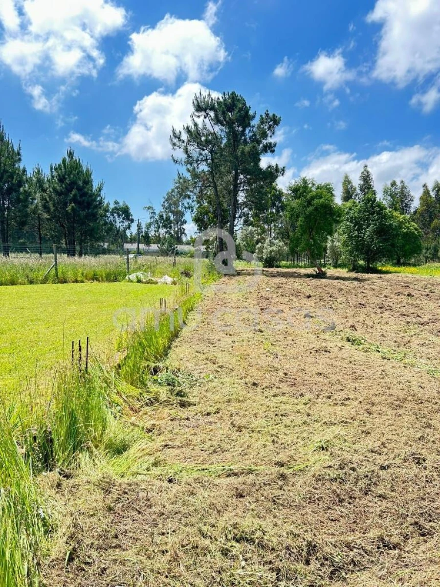 Terreno para Venda em Ouca Foto 5