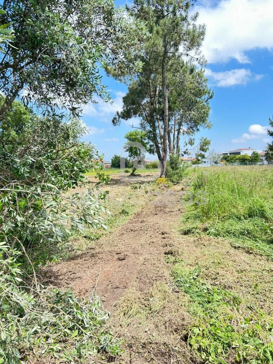 Terreno para Venda em Ouca Foto 3