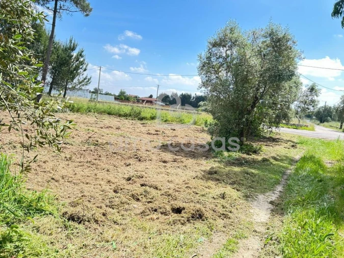 Terreno para Venda em Ouca Foto 6