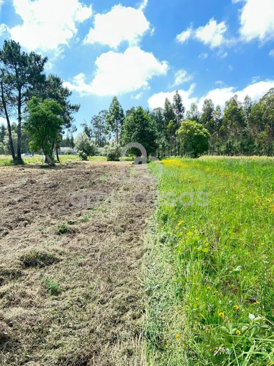 Terreno para Venda em Ouca Foto 4