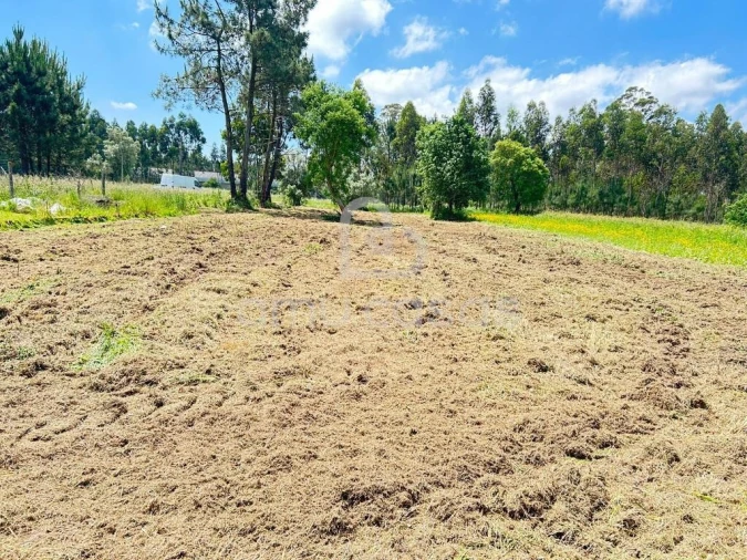 Terreno para Venda em Ouca Foto 8