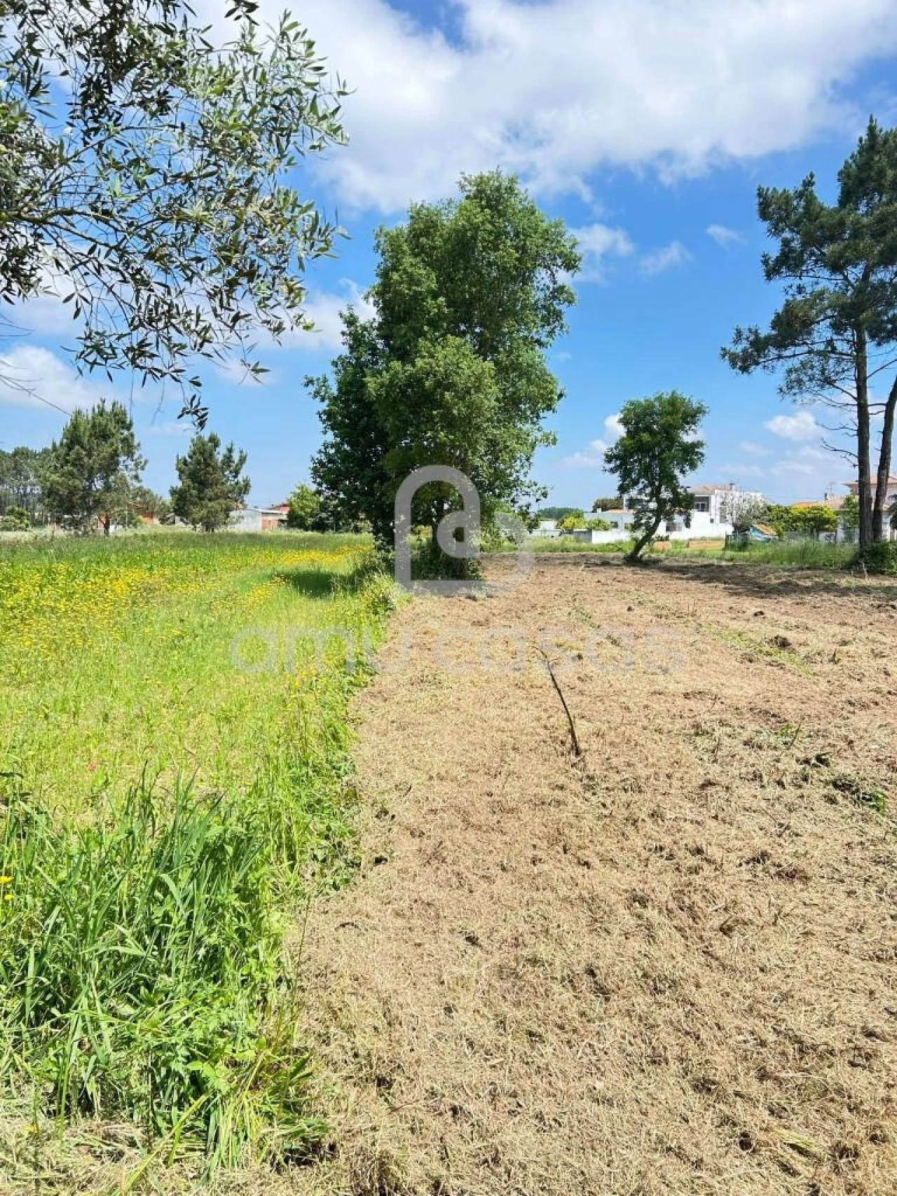 Terreno para Venda em Ouca Foto 9