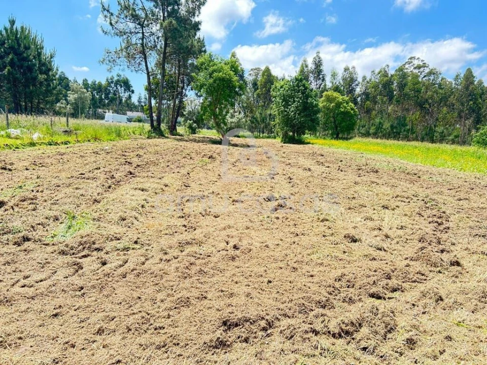 Terreno para Venda em Ouca Foto 8