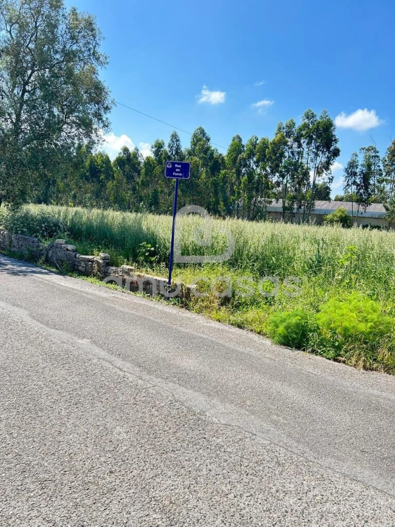 Terreno para Venda em Ouca Foto 1