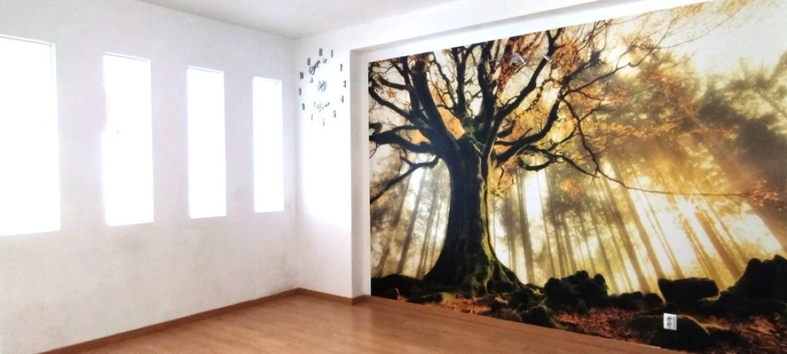 Loja para Venda em Baguim do Monte (Rio Tinto) Foto 5