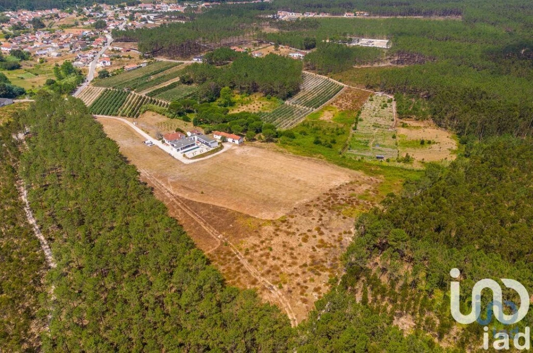 Quinta T5 para Venda em Coz, Alpedriz e Montes Foto 5