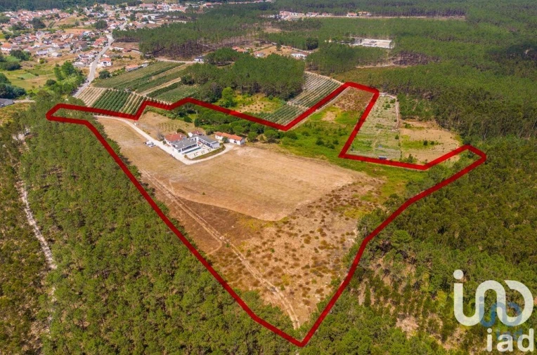 Quinta T5 para Venda em Coz, Alpedriz e Montes Foto 6