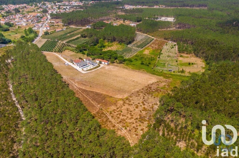 Quinta T5 para Venda em Coz, Alpedriz e Montes Foto 5