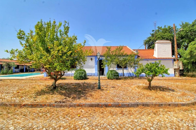 Quinta T6 para Venda em Pavia Foto 14