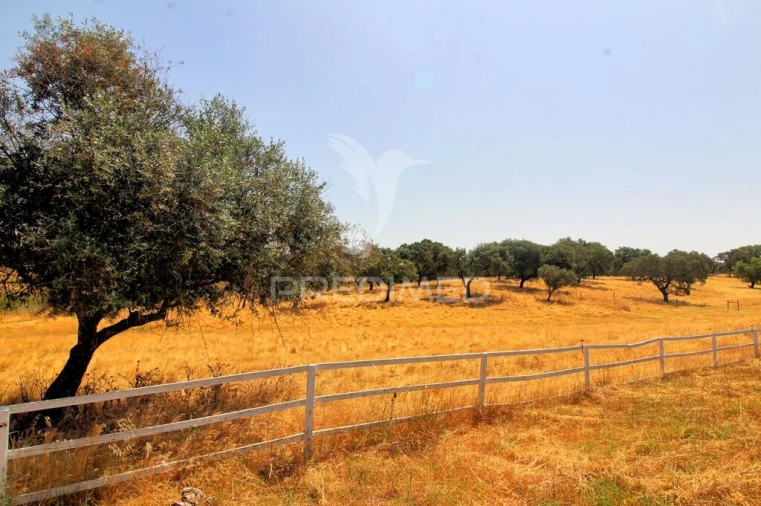 Quinta T6 para Venda em Pavia Foto 15