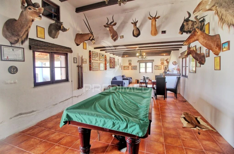 Quinta T6 para Venda em Pavia Foto 12