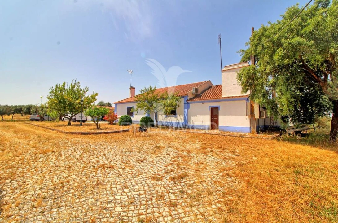 Quinta T6 para Venda em Pavia Foto 16