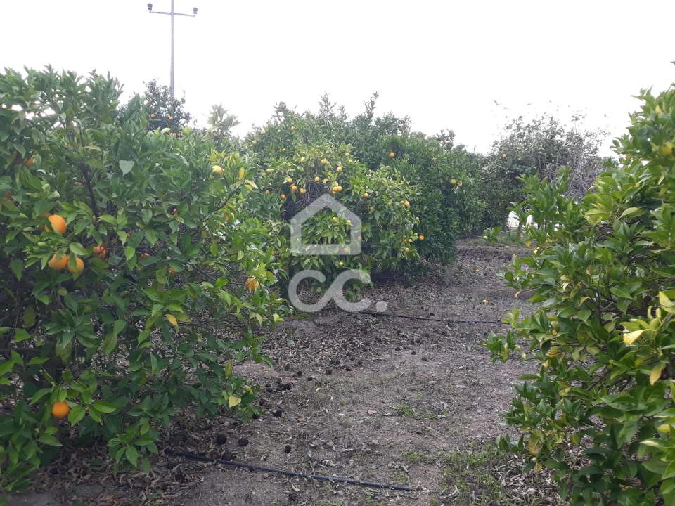 Quinta T2 para Venda em Beringel Foto 26