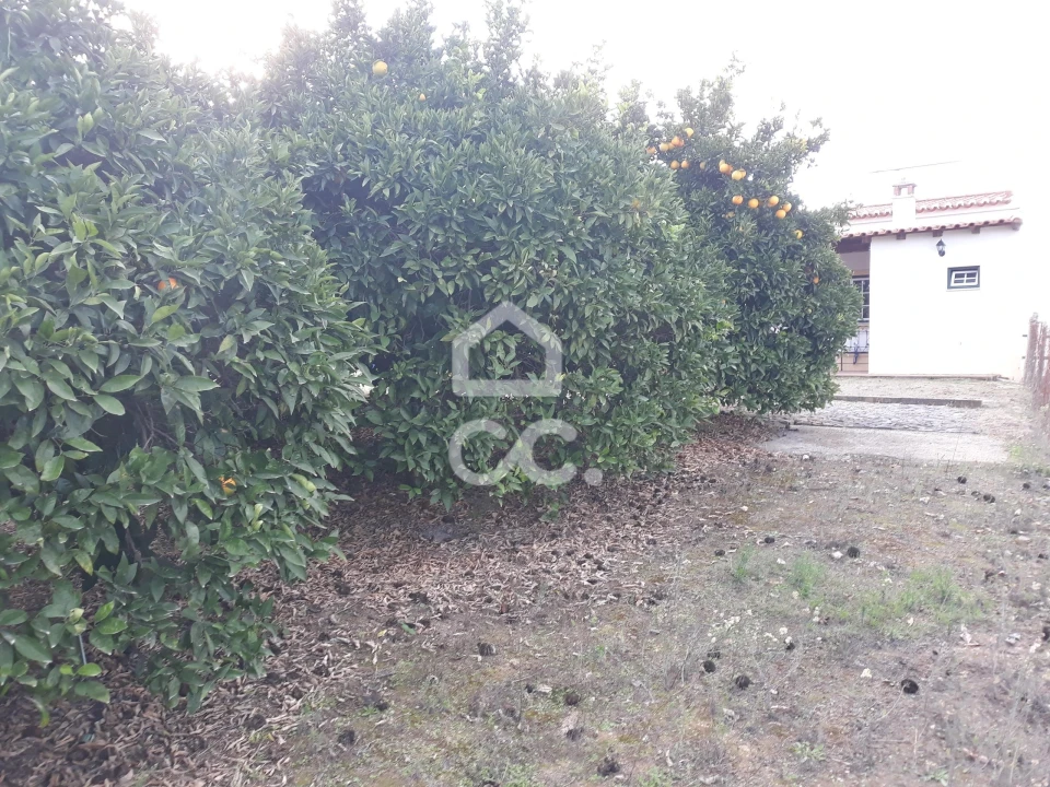 Quinta T2 para Venda em Beringel Foto 29