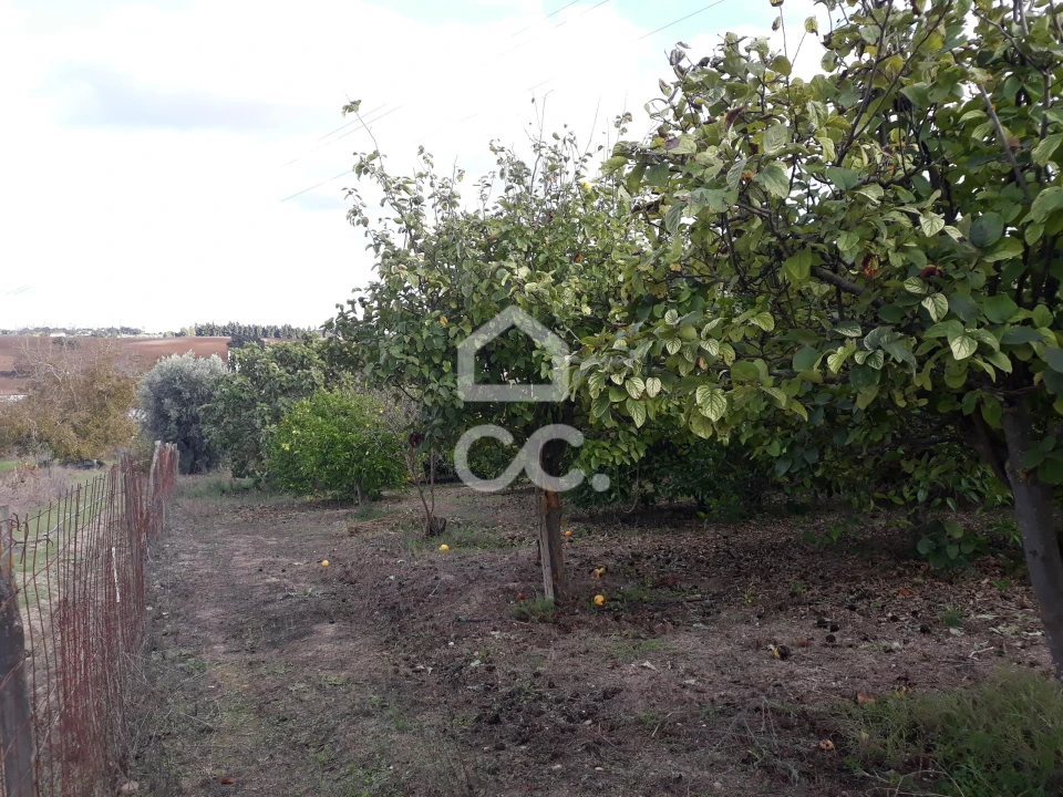 Quinta T2 para Venda em Beringel Foto 28