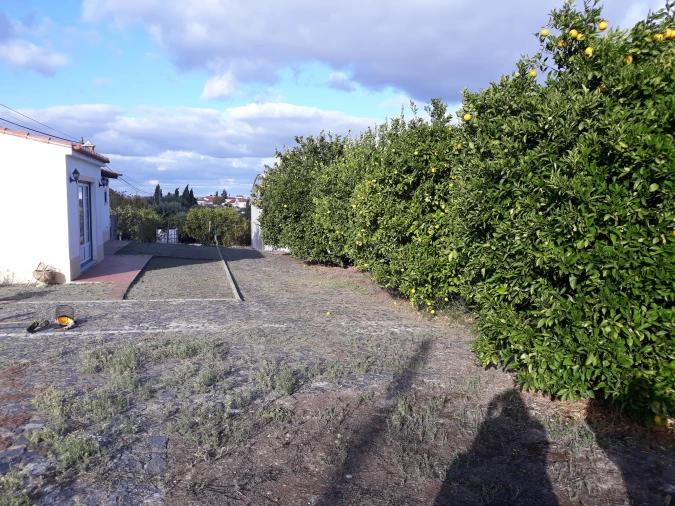 Quinta T2 para Venda em Beringel Foto 41