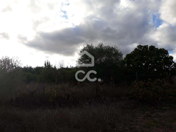 Quinta T2 para Venda em Beringel Foto 21