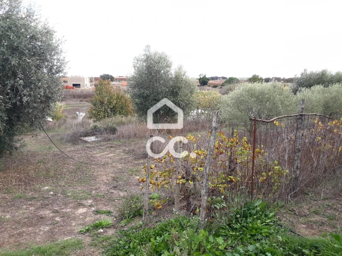 Quinta T2 para Venda em Beringel Foto 24