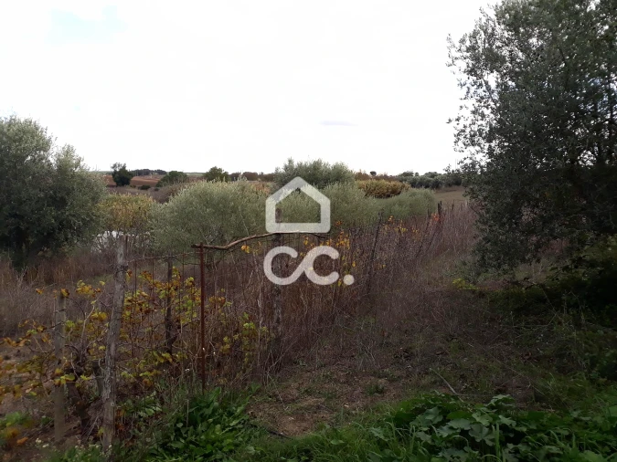 Quinta T2 para Venda em Beringel Foto 25