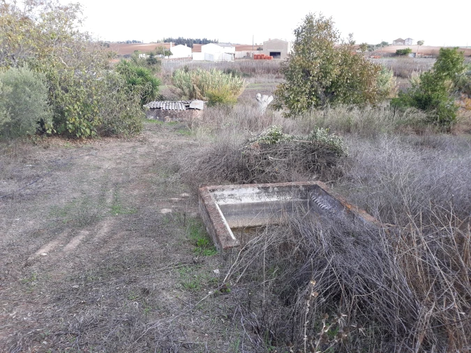 Quinta T2 para Venda em Beringel Foto 45