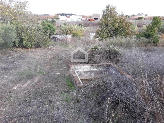 Quinta T2 para Venda em Beringel Foto 19