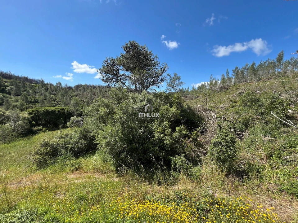 Terreno para Venda em Alcabideche Foto 4
