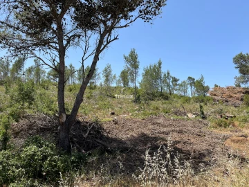 Terreno para Venda em Alcabideche