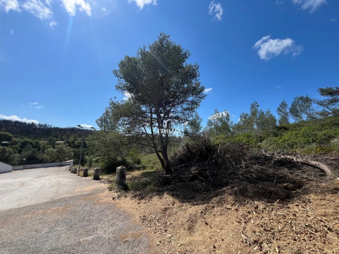 Terreno para Venda em Alcabideche
